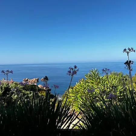 Ginepro * Costa Paradiso